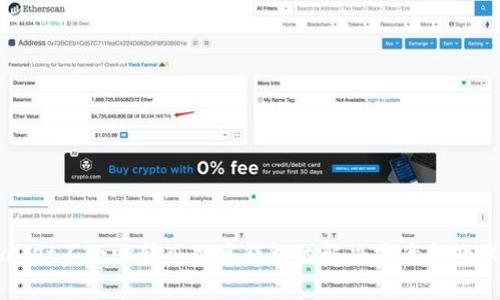TPWallet不小心转入观察钱包的解决方案与处理方法