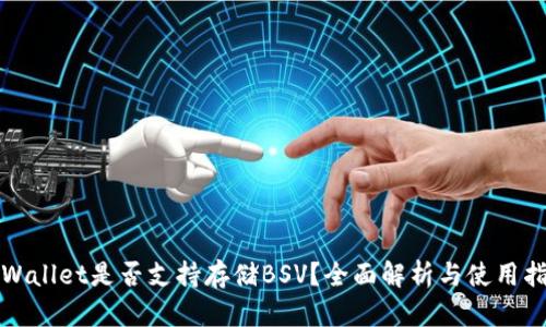 TPWallet是否支持存储BSV？全面解析与使用指南