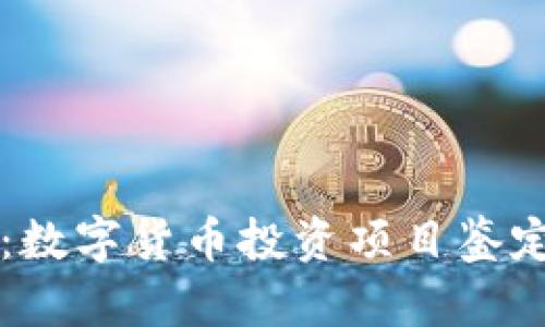 题目：数字货币投资项目鉴定指南