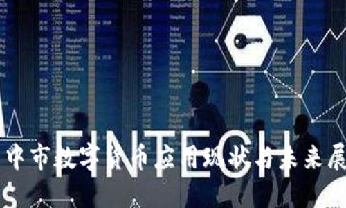 巴中市数字货币应用现状与未来展望