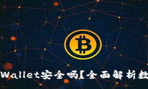 :
弘盛国际TPWallet安全吗？全面解析数字的安全性